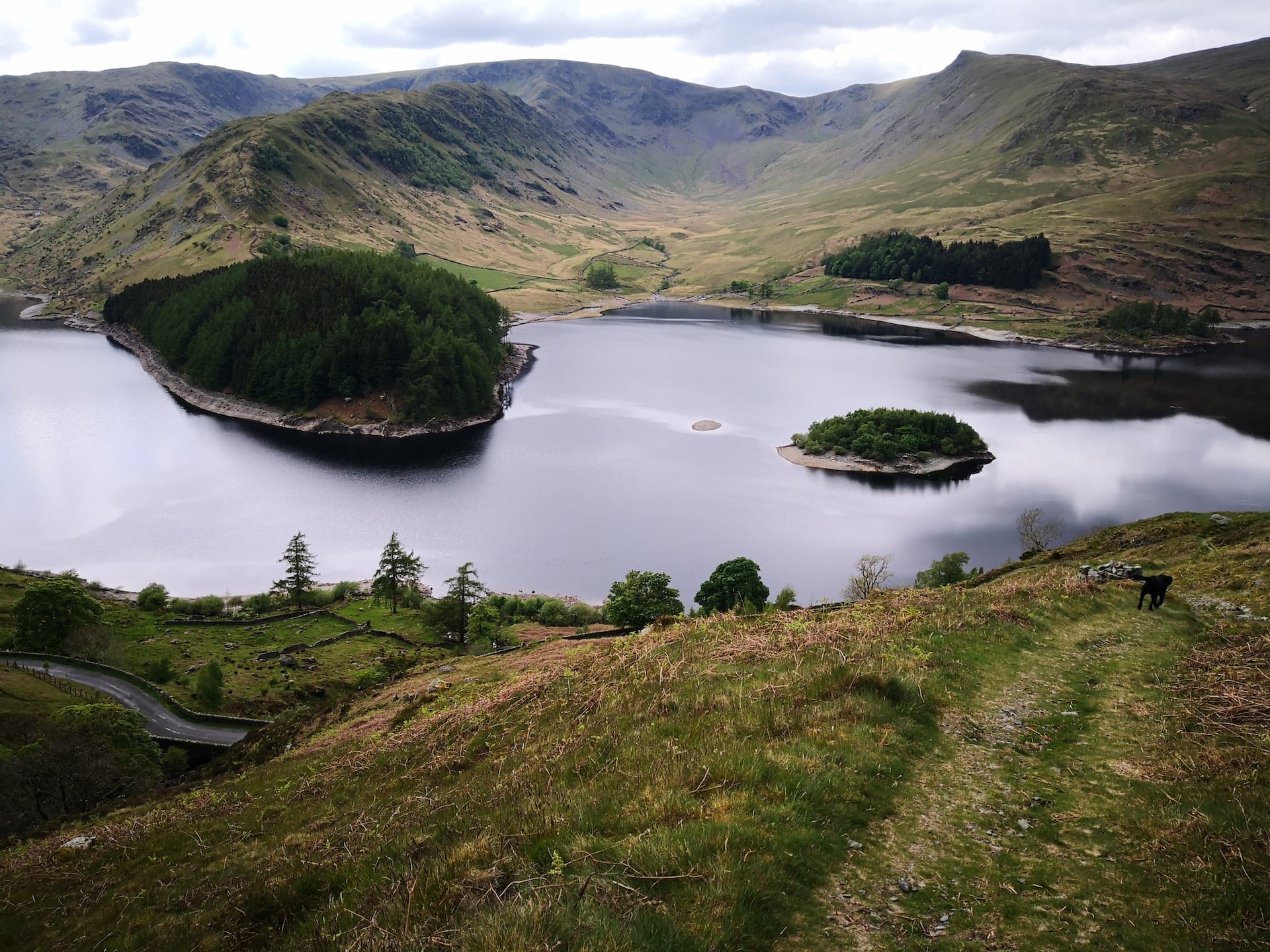 Neaum Crag Estate - Holiday Lodges & Apartments set in Eighteen Acres of pristine Lake District Woodland